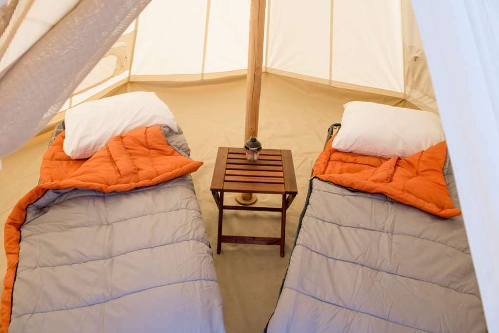 Under Canvas Zion Virgin Bilik gambar